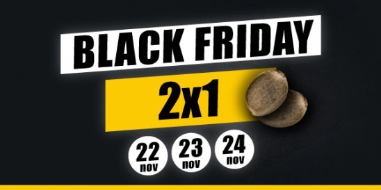 Black Friday LaMota