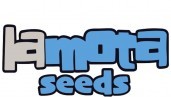 IMG LaMota Seeds: we present LaMota’s new seed bank