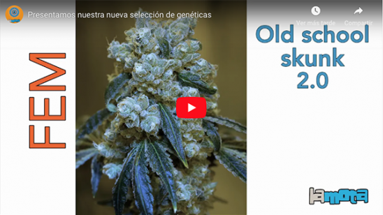 Vídeo LaMota Seeds
