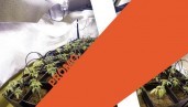 IMG Una selección de los mejores productos de cultivo, con descuento