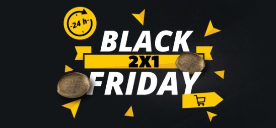 Black Friday promotion
